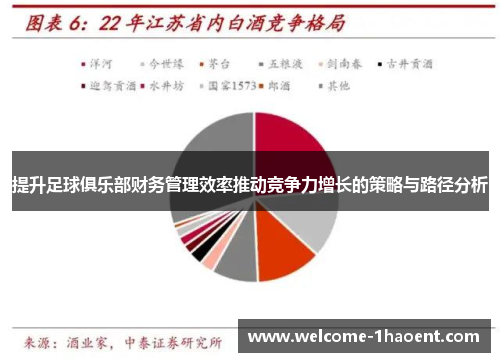 提升足球俱乐部财务管理效率推动竞争力增长的策略与路径分析