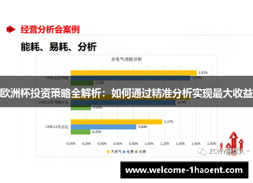 欧洲杯投资策略全解析：如何通过精准分析实现最大收益