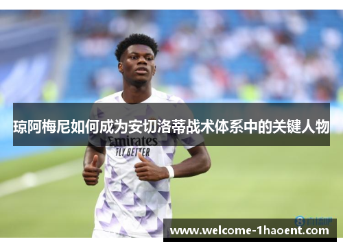 琼阿梅尼如何成为安切洛蒂战术体系中的关键人物