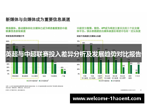 英超与中超联赛投入差异分析及发展趋势对比报告