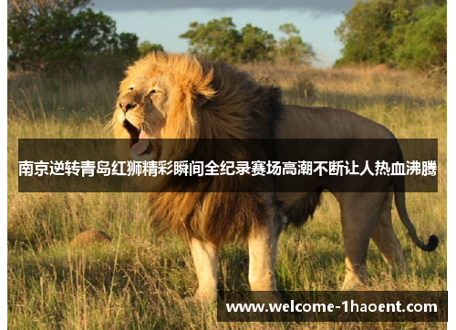 南京逆转青岛红狮精彩瞬间全纪录赛场高潮不断让人热血沸腾