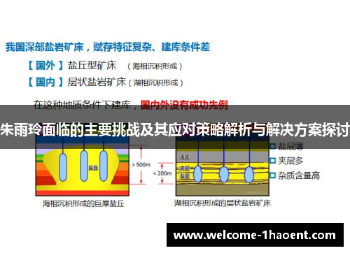 朱雨玲面临的主要挑战及其应对策略解析与解决方案探讨