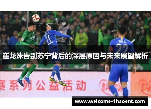 崔龙洙告别苏宁背后的深层原因与未来展望解析